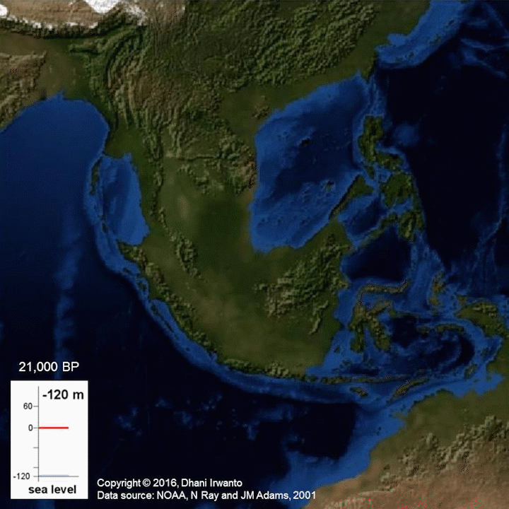 Last Glacial Vegetation of Sundaland